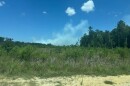 Smoke from the Horse Island Fire rises above vegetation.