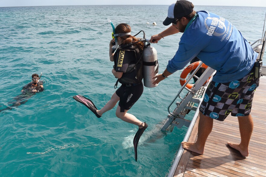 Scuba-diving tourists are helped into the water by a boat crew member on Australia's Great Barrier Reef.