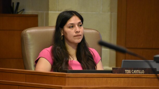District 5 Councilmember Teri Castillo.