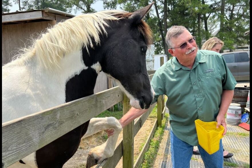 Billy Beebe (right) with Chincoteague pony Pearl, performing a handshake trick. 