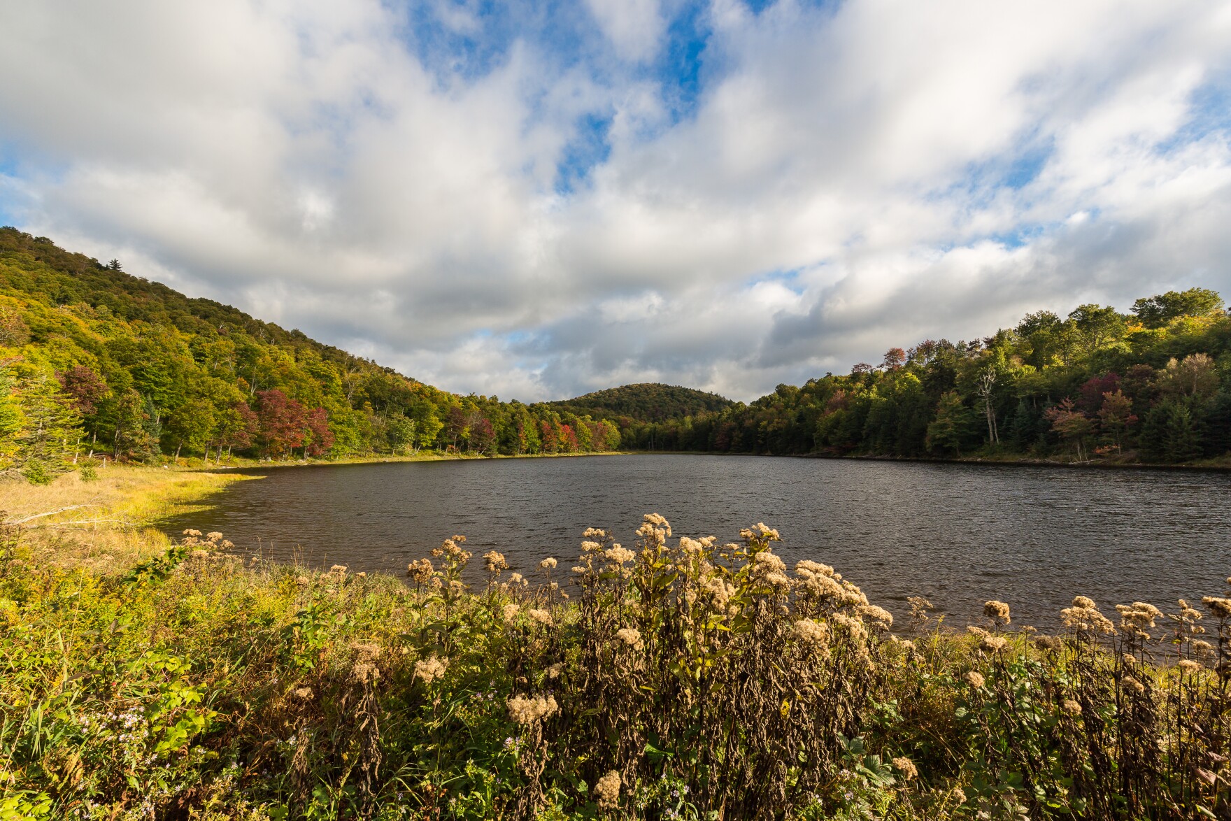 Vermont Public: A Soundtrack for Every Taste National and Local Programming