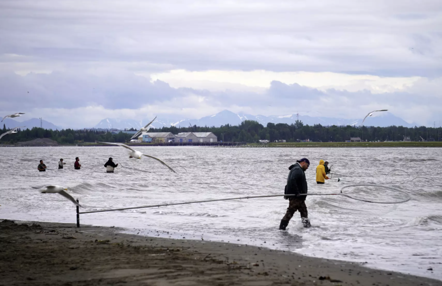 Dipnetters seek sockeye salmon at the mouth of the Kenai River in Kenai, Alaska, on July 13, 2026.