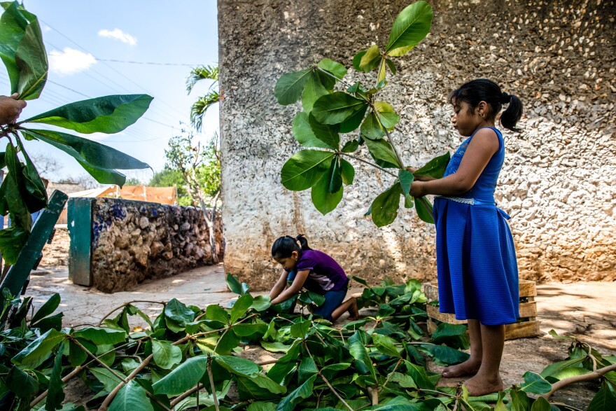 Ruby helps to clean the backyard of her grandmother's home in a small Maya village in Yucatán, Mexico.