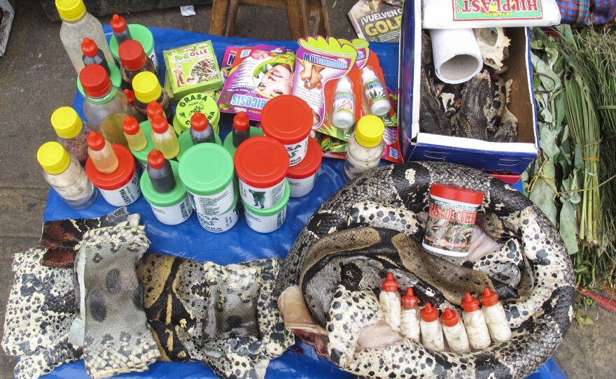A vendor hawks <em>grasa de culebra</em>, or snake fat, said to have healing properties – for broken bones, fractures and ovarian and back pain.