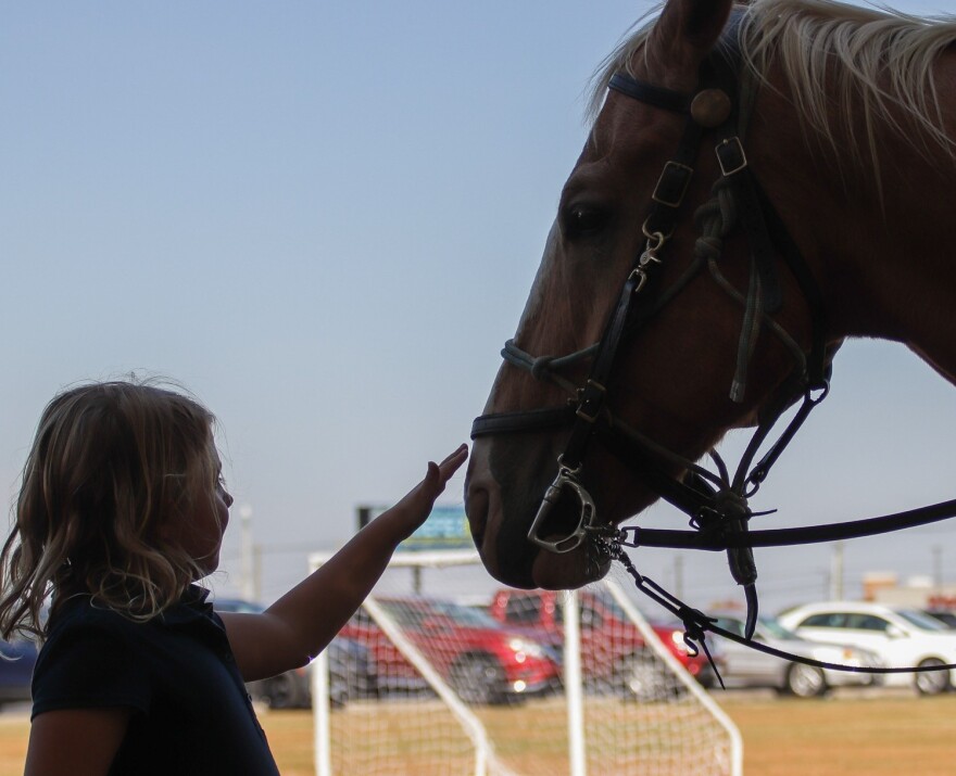 A child pets Scotty in this file photo from Evansville Police