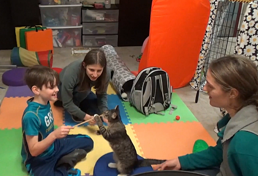 Child training cat to sit while two women look on. 