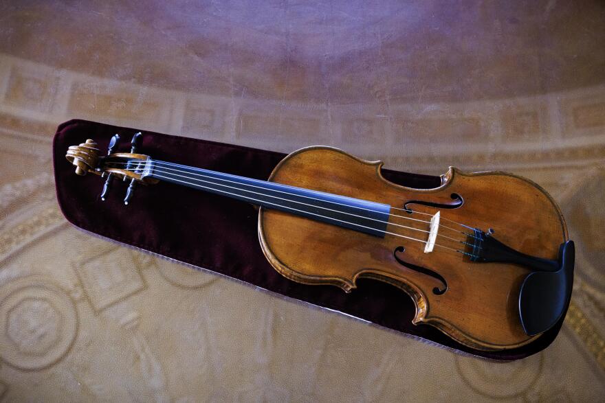 a viola in a case
