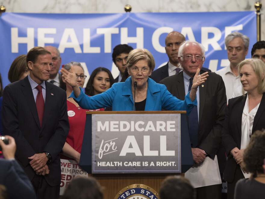 Sen. Elizabeth Warren speaks at the unveiling of Sen. Bernie Sanders' "Medicare for All" legislation on Capitol Hill in Washington, D.C., in September 2017.