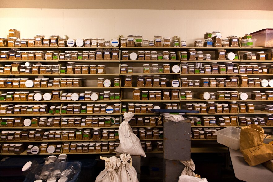 Inside the Bread Lab in Skagit Valley.