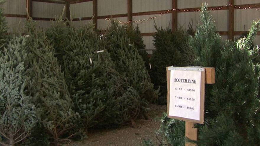 The national shortage stems from the 2007 recession. Christmas tree farms planted fewer trees then because of low demand and those trees are just now maturing.