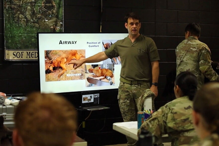 Army medics watch a lecture on emergency treatments for military working dogs wounded in combat. The training at Fort Bragg covered basics like how to muzzle a dog, stop bleeding, dose drugs, treat a collapsed lung, and read a dog's body language for signs of its condition.