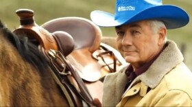 Blue Cross of Idaho Ad