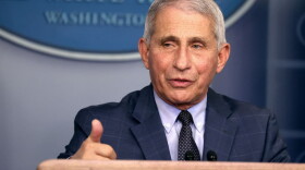 Dr. Anthony Fauci, director of the National Institute of Allergy and Infectious Diseases, speaks during a White House Coronavirus Task Force press briefing at the White House on November 19, 2020. (Tasos Katopodis/Getty Images)