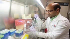  Fouad Hetta, Ph.D., postdoctoral fellow and scientist at the University of Cincinnati College of Medicine Division of Digestive Diseases.