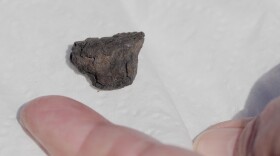 December Harris displays a small black rock she suspects is a meteorite found by her cousin and roommate, Ambra Sinclair, on their driveway in Medina, Ohio, March 17, 2026, during an interview at her home Thursday, March 19. 