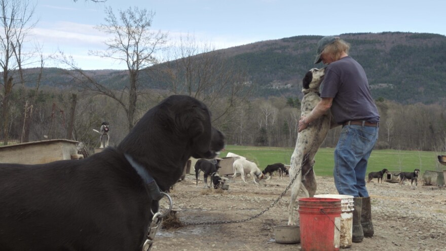 A dark dog in the foreground watches another dog getting a hug from a man in a hat, T shirt and jeans in front of a green field and a hill.