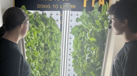 Dylan Miller and Lavender Johnson, high school students in Lima City School District, gaze at lettuce being grown on a hydroponic tower.