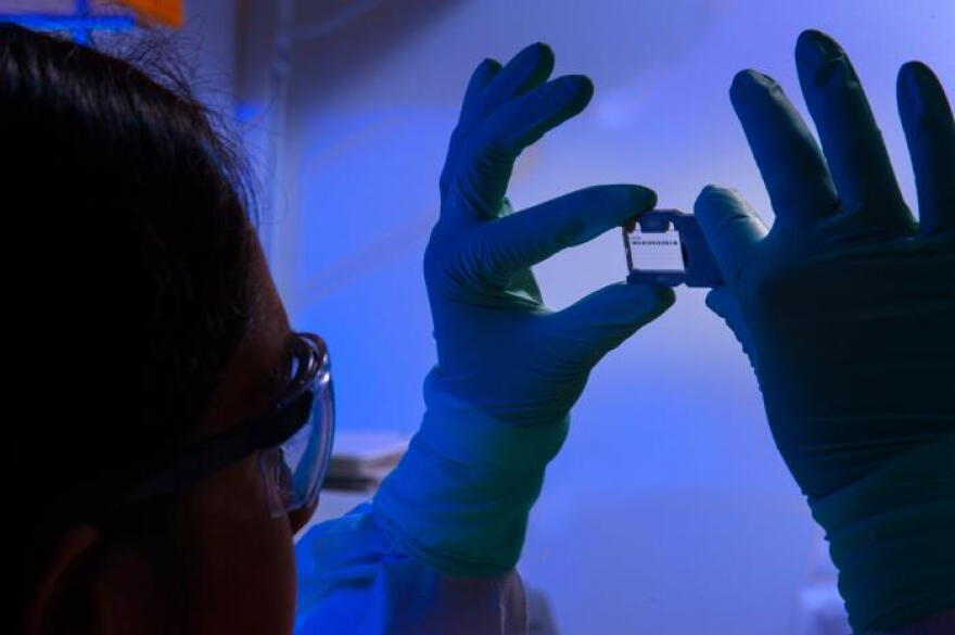 This photograph depicted an Enteric Diseases Laboratory Branch (EDLB) public health scientist, holding up a glass slide used for a run on a sequencing machine.