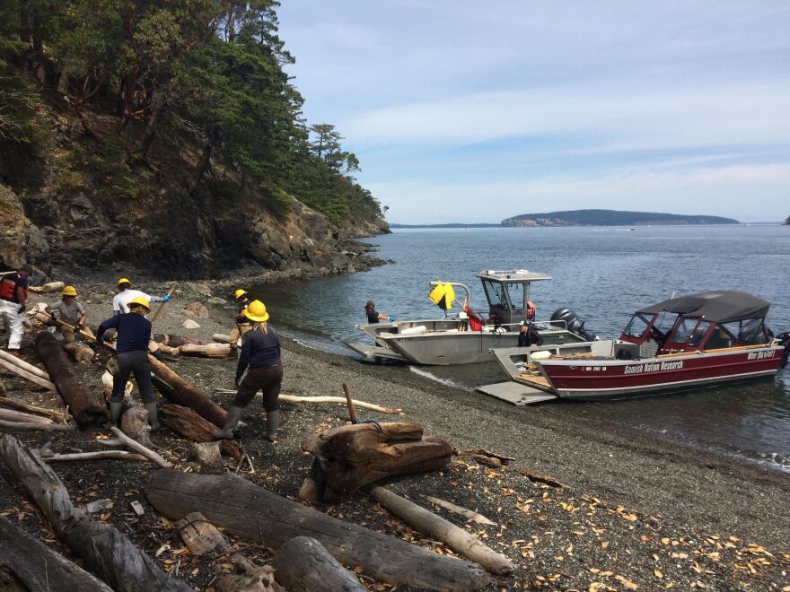 The Samish Indian Nation Department of Natural Resources works to clean up debris off the shoreline. (Credit: Samish Indian Nation Department of Natural Resources)