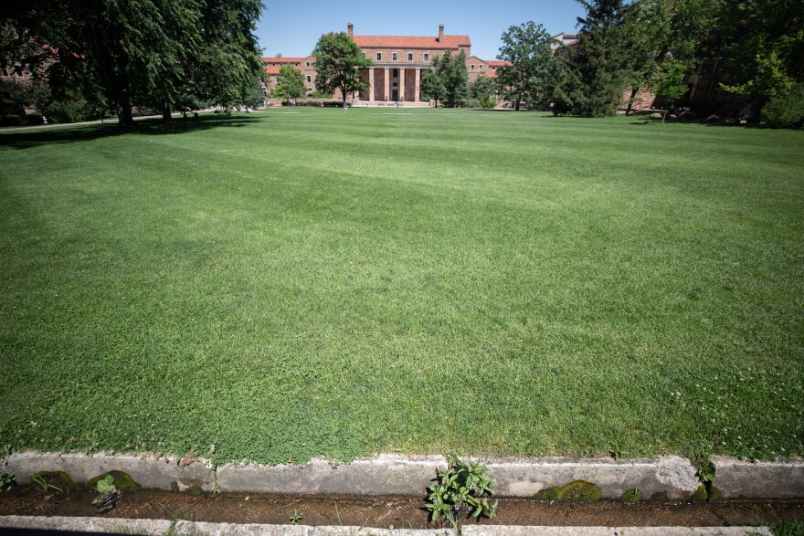 A large greenfield in front of a building at the University of Colorado Boulder.