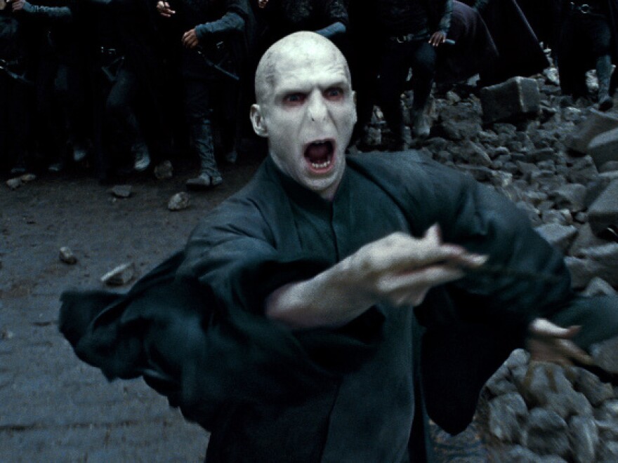 <strong>Bad To The Bone?</strong> No stranger to characters with autocratic tendencies, Fiennes played the evil wizard Voldemort in the Harry Potter films.