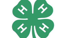 The 4H logo