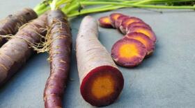 Among the vegetables stocked in the Irondequoit seed library is cosmic purple carrots, which is an heirloom variety.