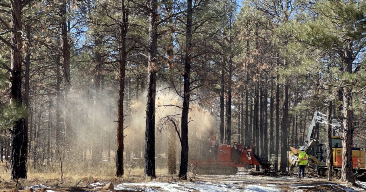 New Mexico’s plan to reduce wildfire risk currently ‘nowhere near enough’