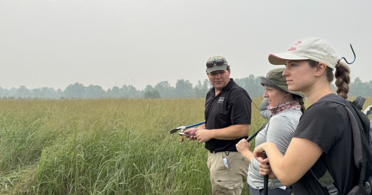 Going on a snake hunt: Ohio conservationists work to restore native rattlesnake population