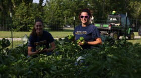 Two women kneeling in a garden of crops, holding up vegetables harvested on-site