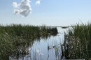 Miami-Dade County's land conservation program is in jeopardy as it faces ongoing budget cuts.