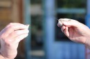 Close-up image of two hands each holding a Hummingbird. On the left is a female Calliope Hummingbird, and on the right is a female Black-Chinned Hummingbird.