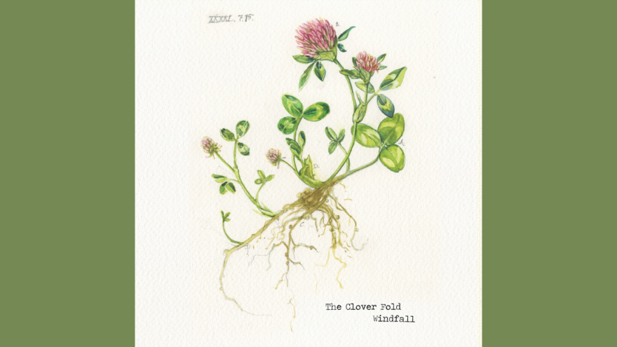 The Clover Fold's new album "Windfall"