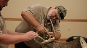 Fish and Wildlife officers use a scoring system to determine the civil penalty against deer and elk poachers.
