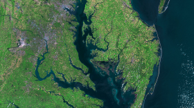 Chesapeake Bay