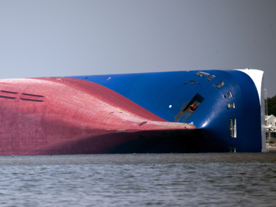 Cargo Ship In Georgia Leaked Oil In Marsh After