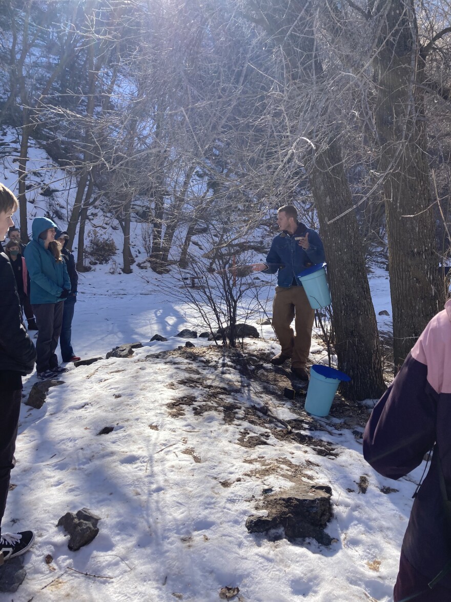 Patrick Kelly demonstrates how to tape a maple tree during a workshop at Stokes Nature Center