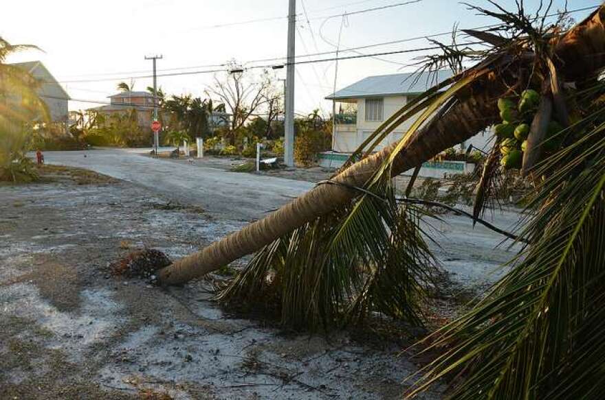 FEMA will offer some housing assistance, but otherwise families would need to move back to Puerto Rico to get the benefits from most of the other programs. Photo: Flickr, Creative Commons