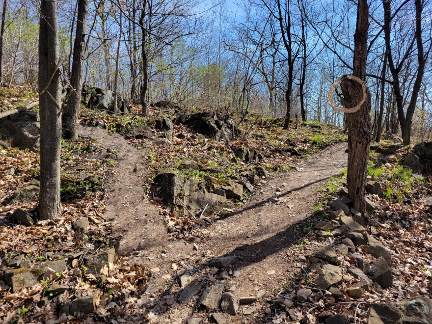 Two paths diverging in a wooded area under blue skies; a yellow/tan ring hangs from a tree next to the right path, a diamond shape of sticks tied together hangs from a tree near the left path