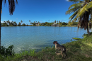 Pili girl, DJ Mermaid's daughter, looks out over Loko Ea Fishpond. Loko Ea Fishpond hosts their Lā Kūʻokoʻa on Saturday. Nov. 22 from 10 a.m. to 2:15 p.m.