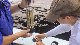 Dr. Bill Mitsch and Ph.D. student Lauren Griffiths take a water sample from the Caloosahatchee River to determine where the nitrogen in the water originated. 