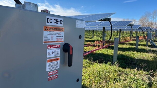 A solar farm shows how shared energy can benefit those who can't install their own solar panels.