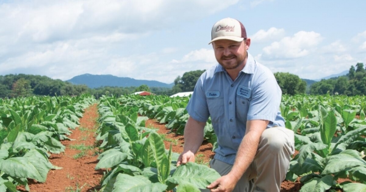 tobacco farmer news Ebelhar Farms keeps alive Tobacco recent news | Farm
