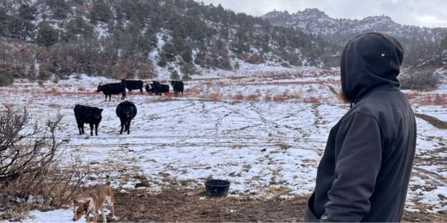 A rancher in southern Colorado checking on cattle.