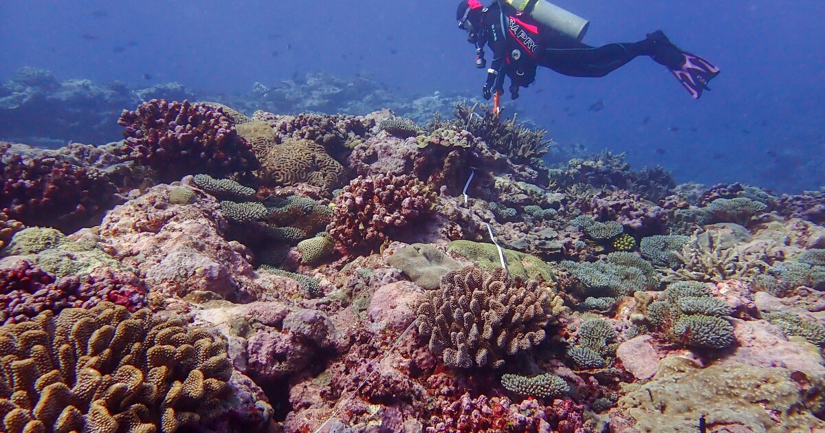 Pacific climate hub shutters due to lapse in federal funding