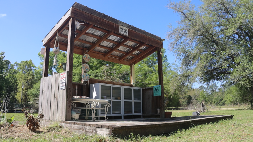 The Farm Stand Girl farm stand operates on the side of a dirt road in Live Oak. (Emily Drelick/WUFT News)