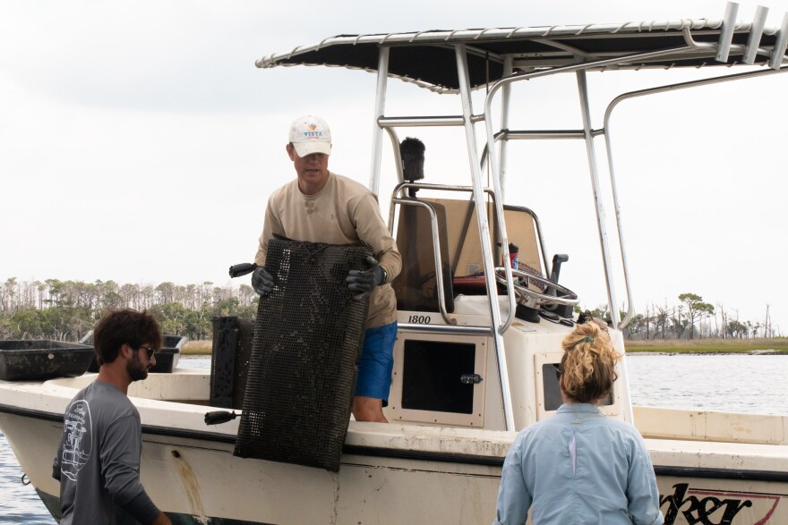 Kalle Simpson, a graduate research assistant, and Christian Gillikin, an undergraduate summer fellow, pass oyster cages to Jonathan Lucas aboard their research vessel. 