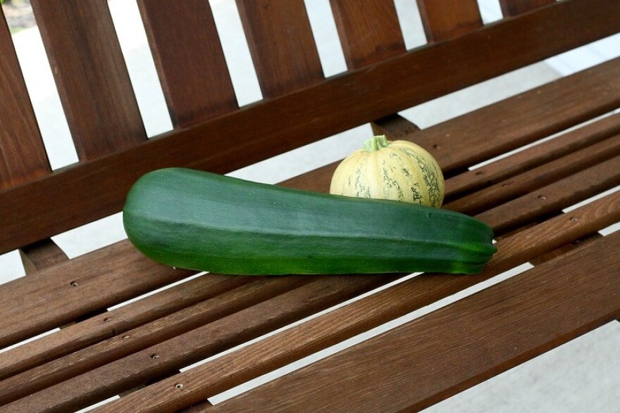 Sneak Some Zucchini Onto Your Neighbor’s Porch Day