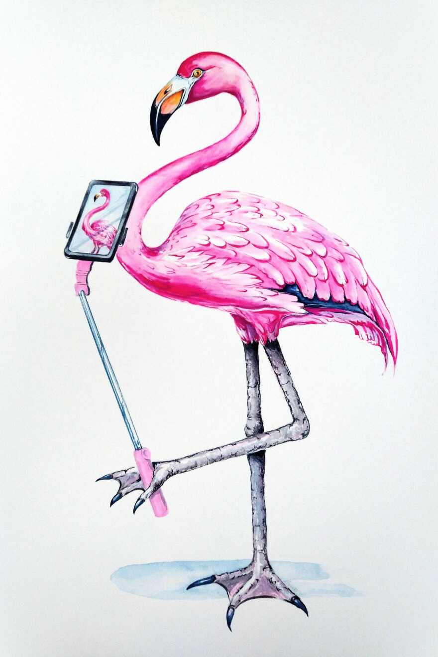 'Flamingo Selfie' by Linda Benson