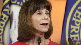 FILE - U.S. Rep. Kathy Manning, D-N.C., speaks during a news conference at the Capitol, July 19, 2022, in Washington. Manning, a second-term Democratic congresswoman, will not seek re-election to the U.S. House under the North Carolina General Assembly’s new redistricting maps, she announced Thursday, Dec. 7, 2023.